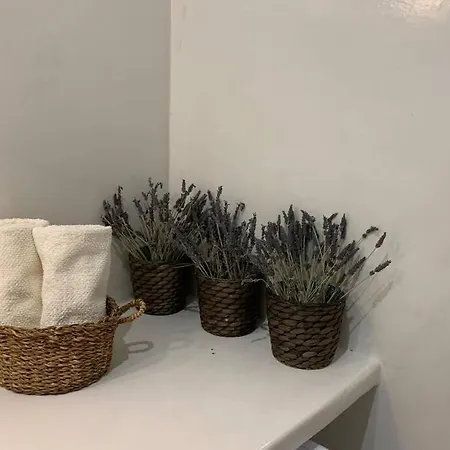ευημερία Apartamento *